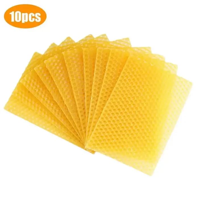 10 feuilles de cire d'abeille naturelle en nid d'abeille, fondation de cadre de cellule de ruche pou
