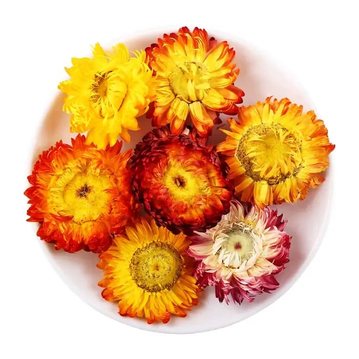 Premium naturel Immortelle décor à la maison Helichrysum fleur séchée bougie Essence arôme pour savo