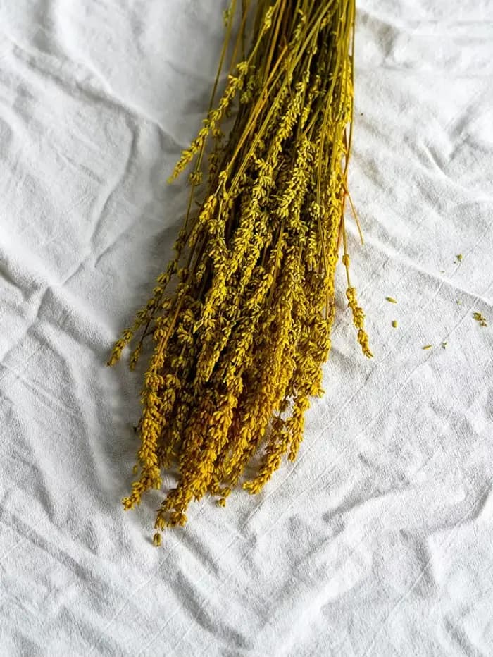 Fleurs de lavande préservées et bougies parfumées aux fleurs séchées, matériaux floraux DIY, décoration intérieure, matériaux pour arrangements de vase