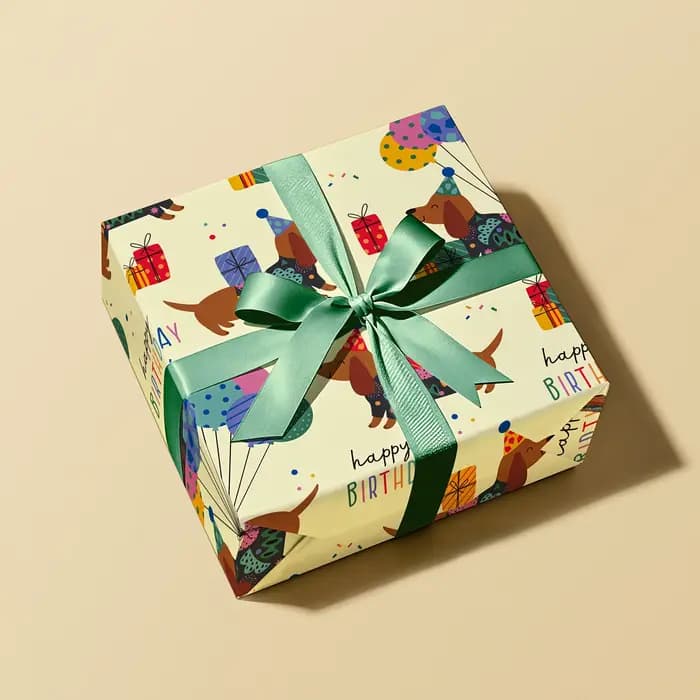 1 rouleau de papier cadeau coloré pour anniversaire, motif Teckel |   Rouleau de 43 cm x 300 cm pour fêtes d'anniversaire, événements sur le thème des animaux et anniversaires d'enfants