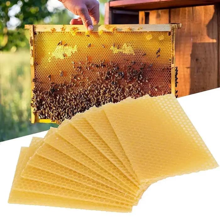 10 feuilles de cire d'abeille naturelle en nid d'abeille