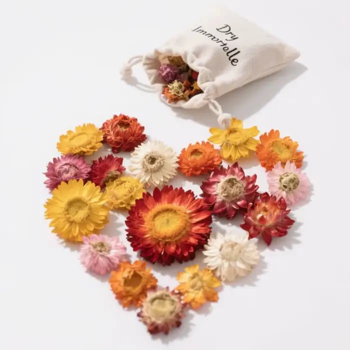 Premium naturel Immortelle décor à la maison Helichrysum fleur séchée bougie Essence arôme pour savon parfum Essence fabrication