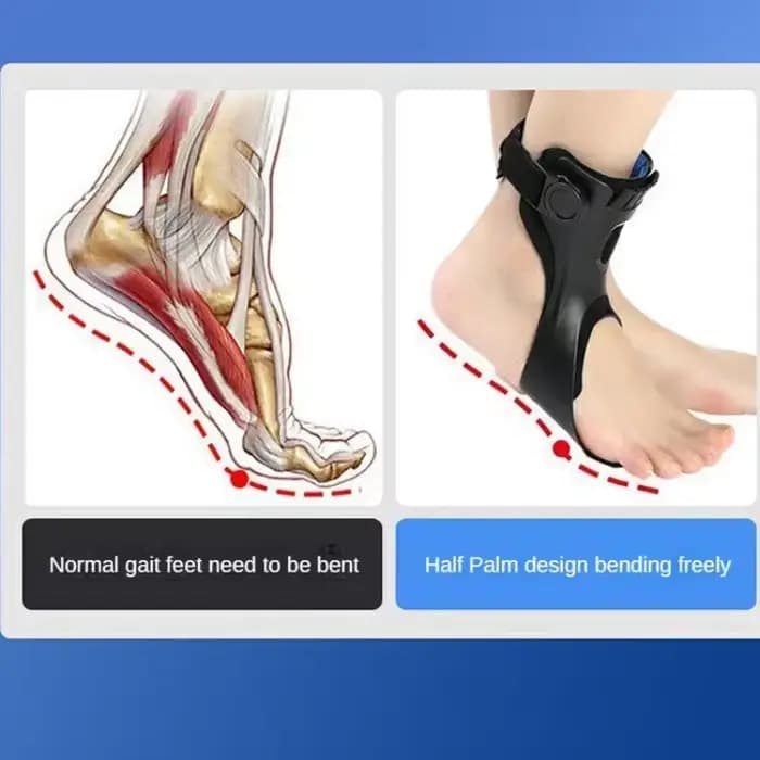 Orthèse de pied tombant AFO AFOs, Support de cheville avec boucle réglable confortable pour les chaussures d'accident vasculaire cérébral de l'hémiplégie, marche