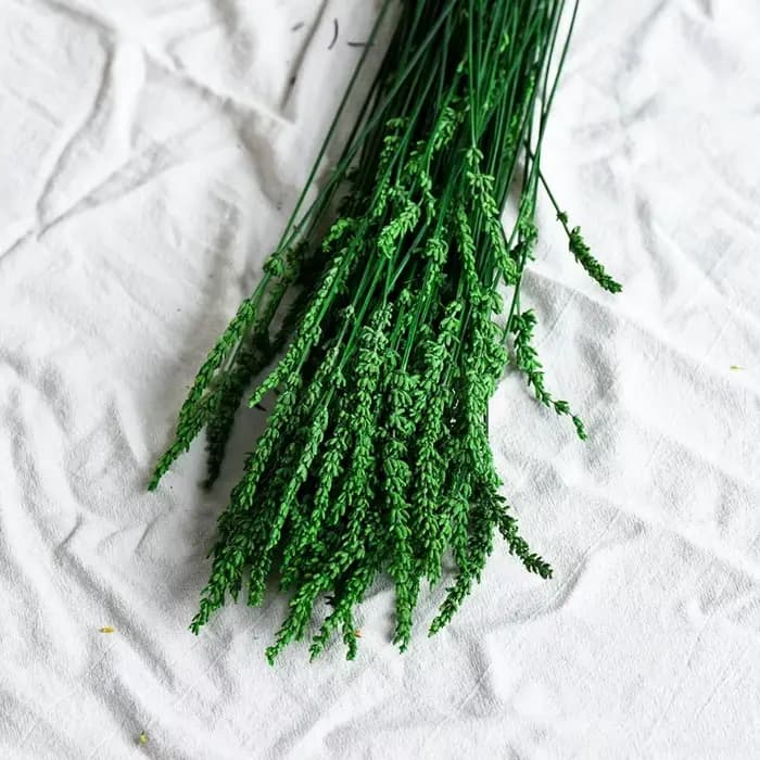 Fleurs de lavande préservées et bougies parfumées aux fleurs séchées, matériaux floraux DIY, décoration intérieure, matériaux pour arrangements de vase