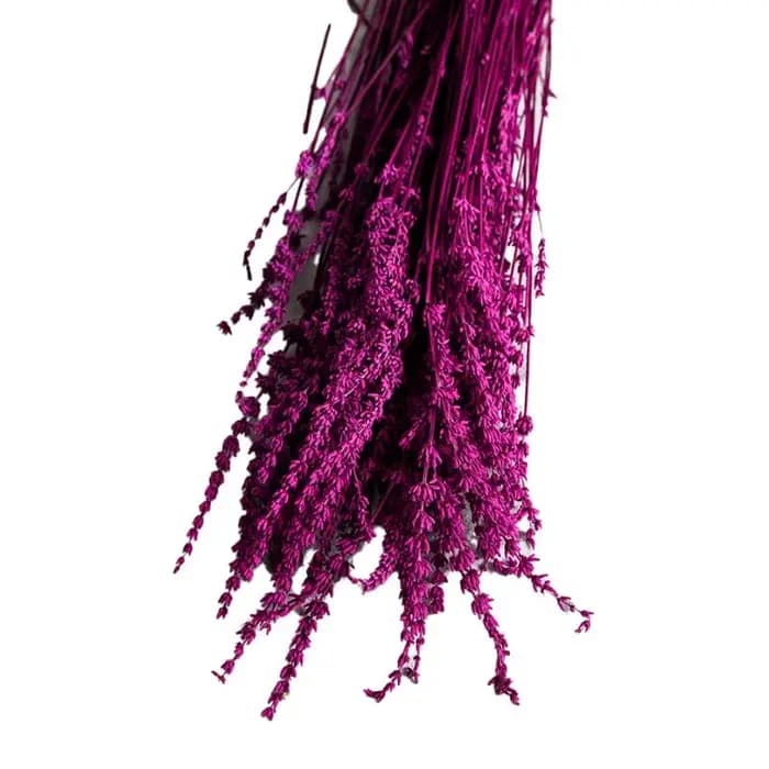 Fleurs de lavande préservées et bougies parfumées aux fleurs séchées, matériaux floraux DIY, décoration intérieure, matériaux pour arrangements de vase