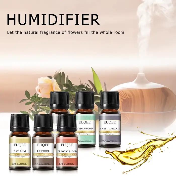 EUQEE 6 pièces/ensemble huile parfumée cadeau Kit pour diffuseur café boulangerie récolte épices citrouille tarte forêt pin fruits sucrés arômes huiles