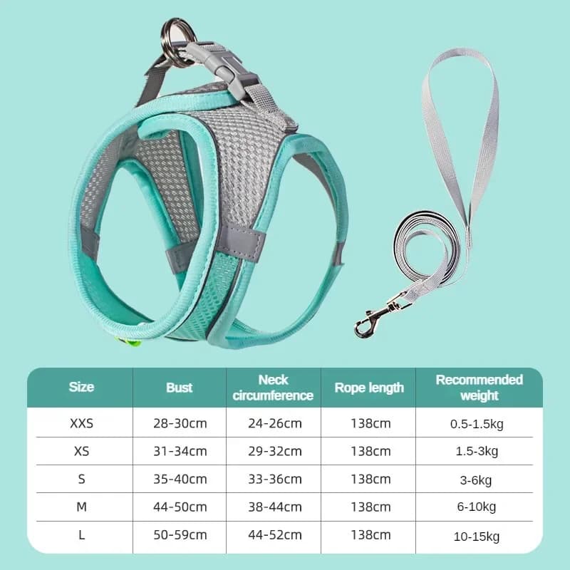 Accessoires pour chats et chiens : Harnais de sécurité respirant et réglable pour petits chiens, gil
