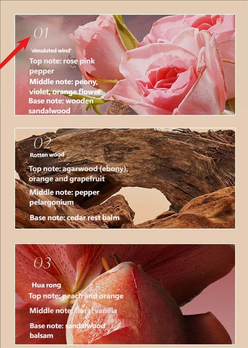 Nouveau Stick de Parfum Solide en Boîte, Parfum Léger Longue Durée, Senteur Florale Portable pour Ho