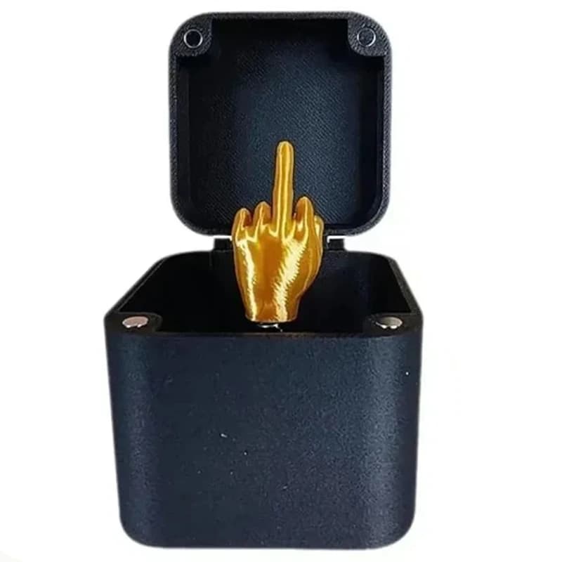 Cadeau farfelu Doigt d'honneur dans une boîte – Boîte cadeau pop-up Doigt d'honneur – Boîtes cadeaux