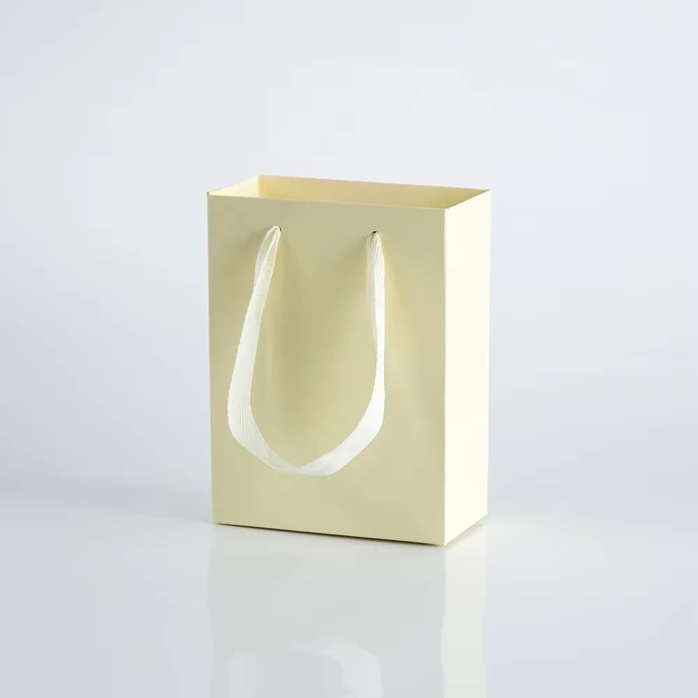 Lot de 10 sacs cadeaux en papier kraft avec poignées, sacs de courses portables, idéaux pour les bij