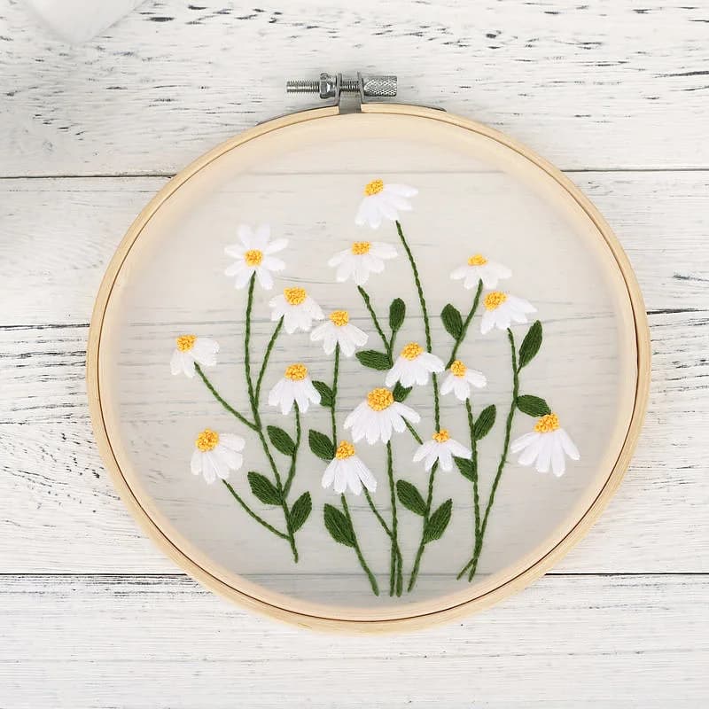 Ensemble de kit de broderie de fleurs transparentes, kits de broderie de fleurs pour adultes et débu
