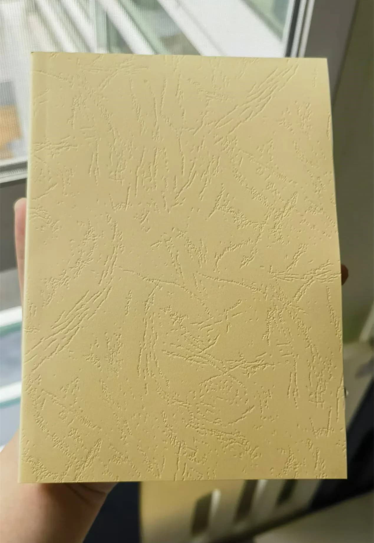 Nouveau journal intime de dessin animé sur mesure