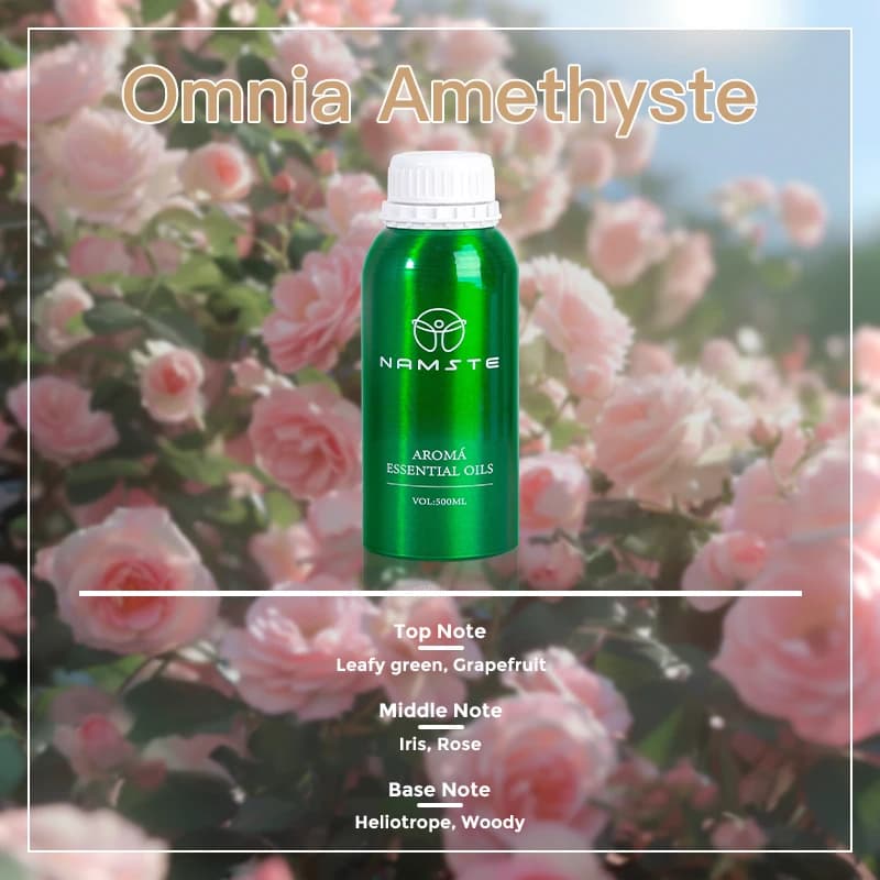 Namste-Diffuseur d'arômes essentiels, temps de lecture du château, concentré, parfum, arôme, désodor