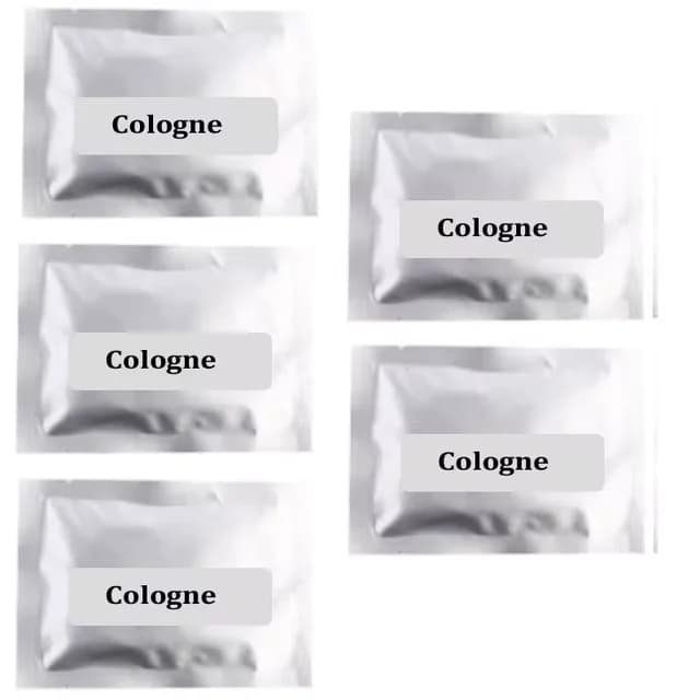Désodorisant pour voiture, parfum pour console centrale, accessoires de parfum pour voiture, pour no