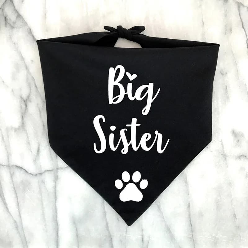Bandana de grande sœur et frère pour chien, annonce de grossesse, cadeau de naissance pour bébé, rév