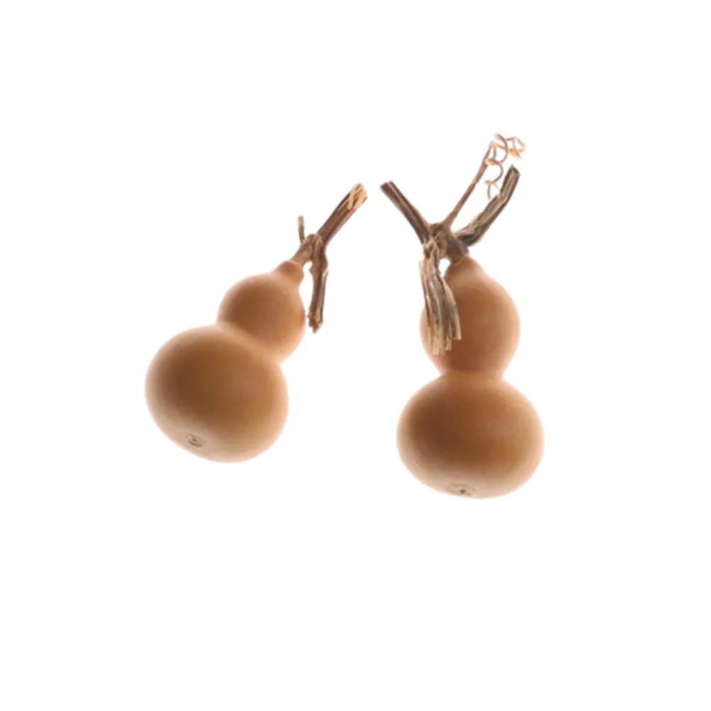Gourde sèche naturelle aléatoire, 2 pièces, artisanat d'art, Collection 4 ~ 6cm, Mini bouteille de g