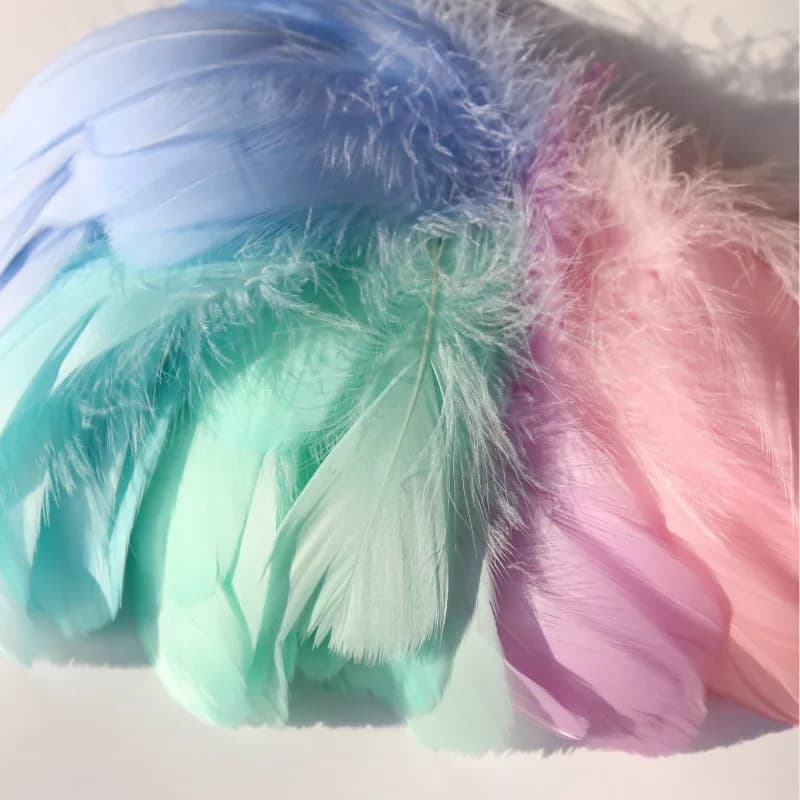 Plumes d'oie naturelles 4-15cm