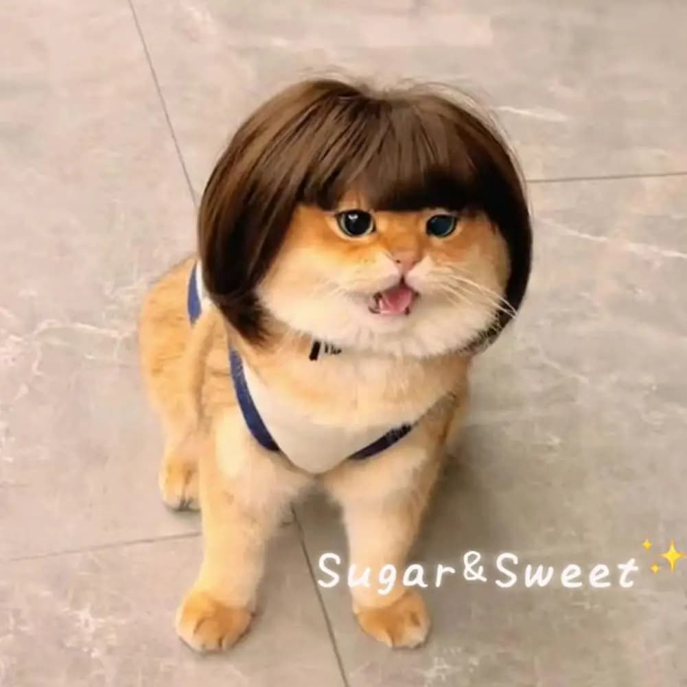 Accessoires de perruque pour chat, coiffure pour chien, Costume amusant pour chiot, déguisement de Cosplay, perruque mignonne pour animaux de compagnie, accessoires de tête amusants