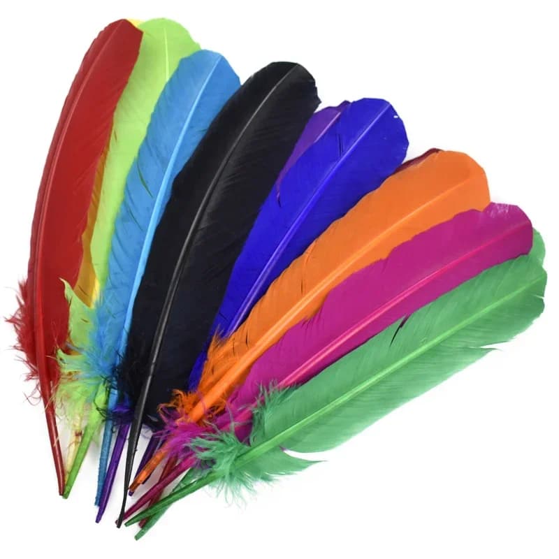 Plumes de dinde, plumes de canard pour l'artisanat