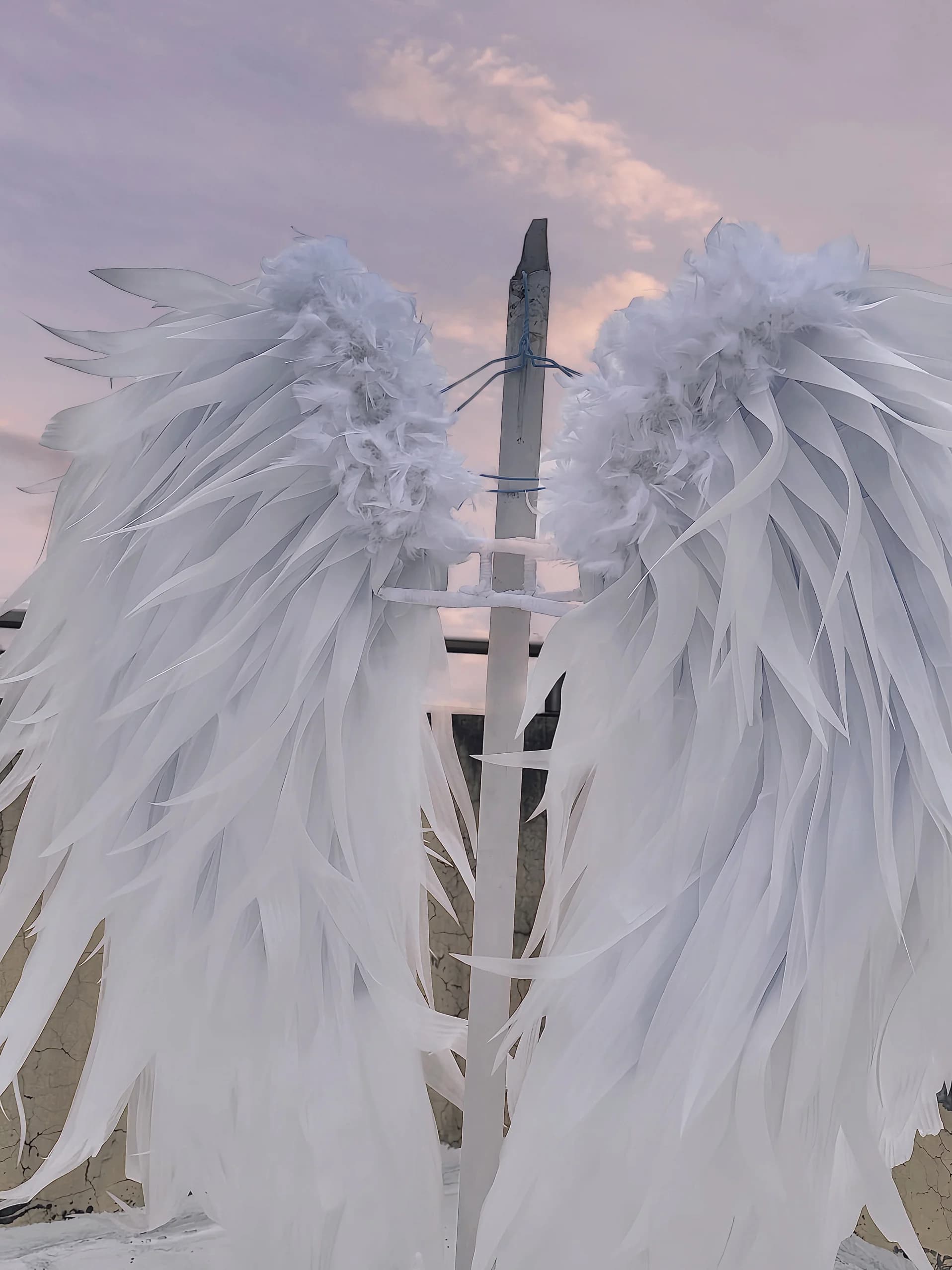 Accessoire de costume ailes d'ange blanches