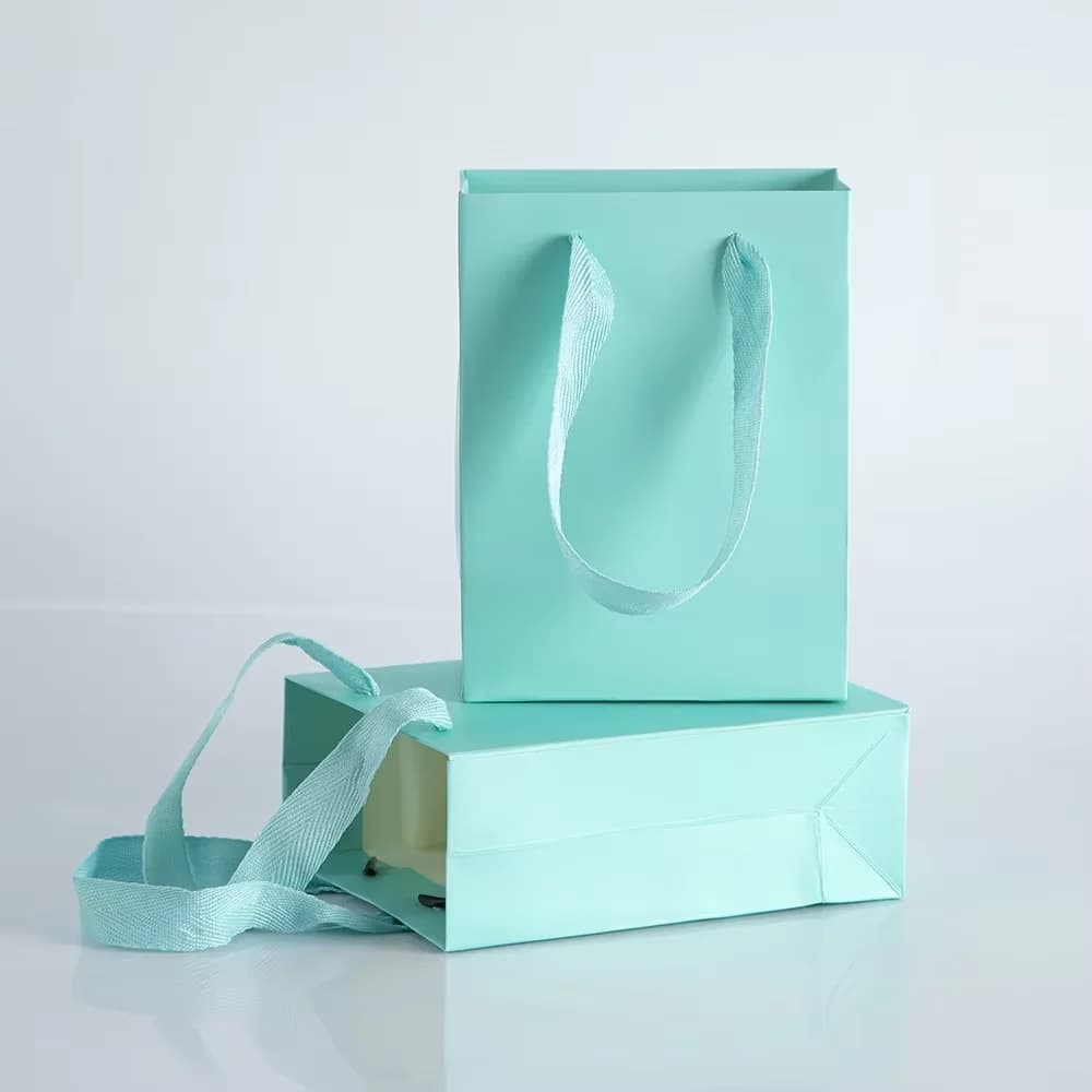 Lot de 10 sacs cadeaux en papier kraft avec poignées, sacs de courses portables, idéaux pour les bijoux, les cadeaux, l'emballage des ornements et l'emballage de cadeaux