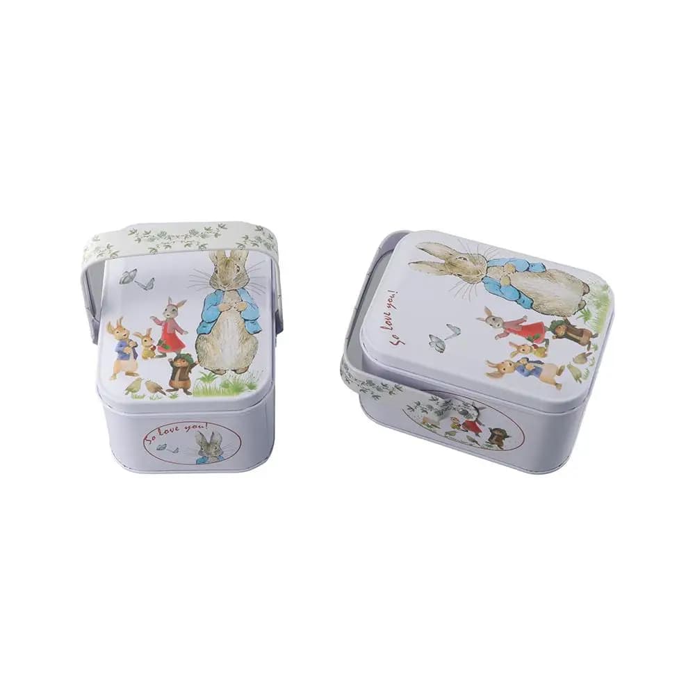 Boîte de rangement décorative en fer blanc avec couvercles pour fêtes d'anniversaire et mariages, boîte cadeau, boîte organisatrice
