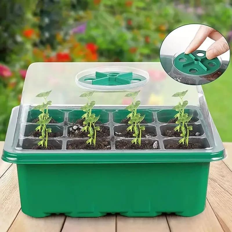 Pot de semis en plastique de 12 puits, boîte de semis succulente, plateau de semis isolé