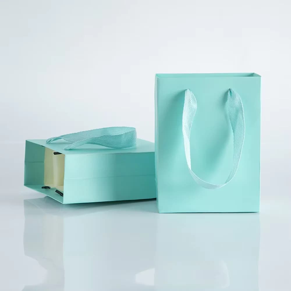 Lot de 10 sacs cadeaux en papier kraft avec poignées, sacs de courses portables, idéaux pour les bijoux, les cadeaux, l'emballage des ornements et l'emballage de cadeaux