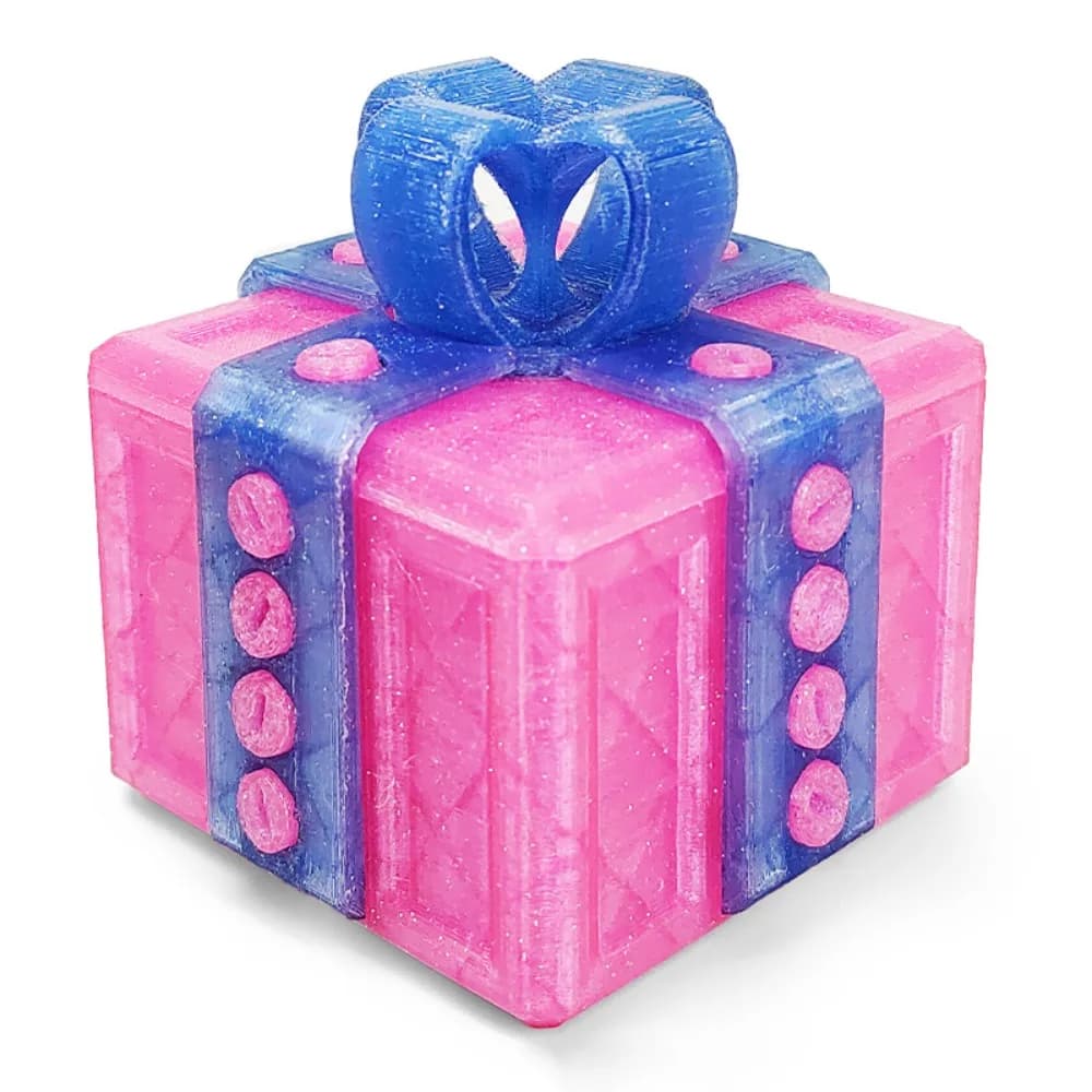 Cadeau de Noël amusant