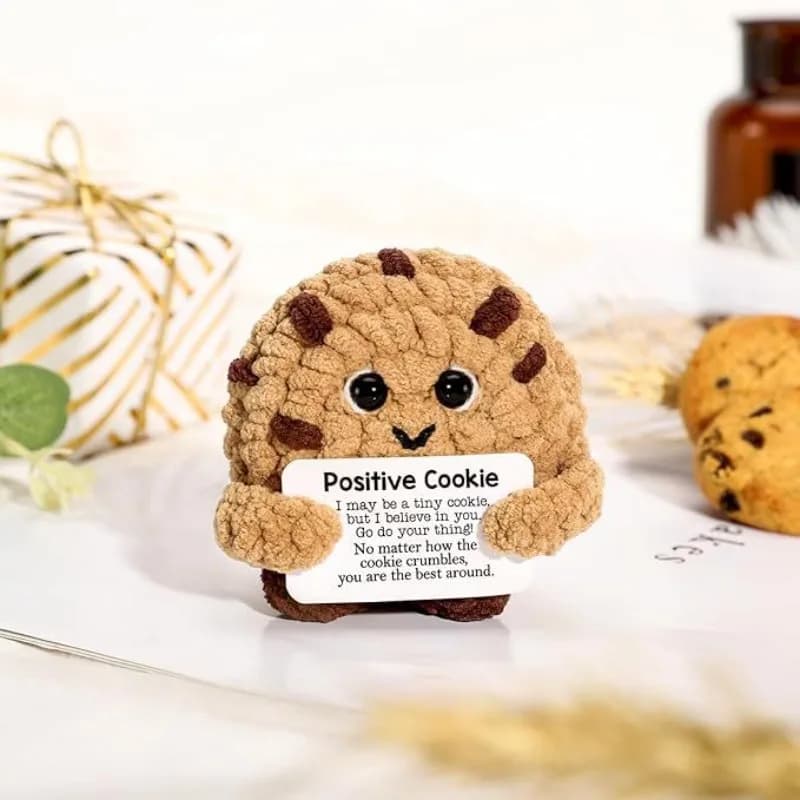 Mini cadeaux de biscuits au crochet, soutien inspirant fait à la main pour tous (anniversaire/grômé), décoration de la maison, soutien émotionnel
