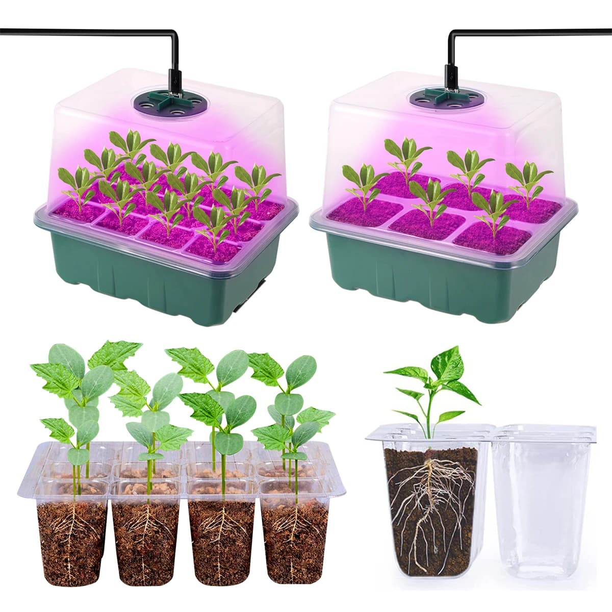 Kit de boîte de culture de jardinage, plateau de démarrage de graines, lumière de croissance LED, plante de jardin, fleur succulente, Pot de Germination respirant, 6/12 cellules
