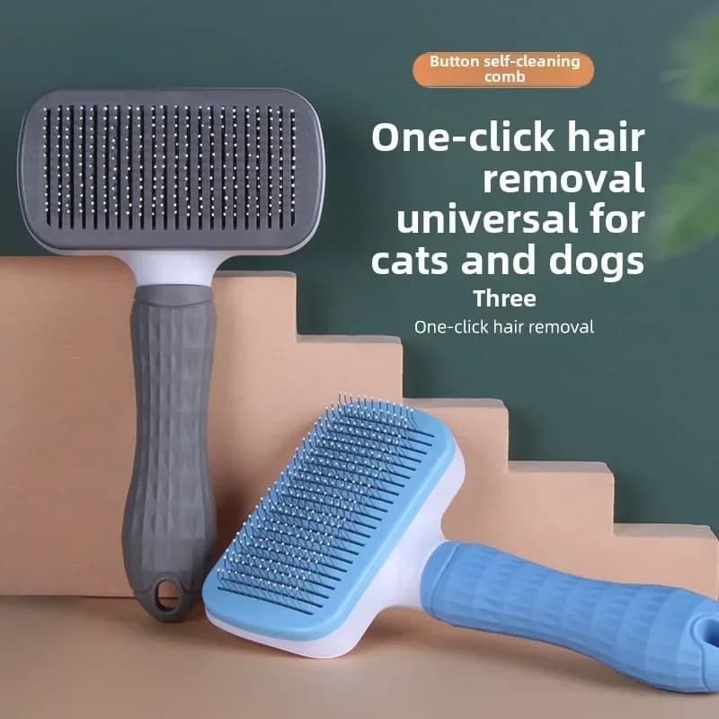 Accessoires pour chats