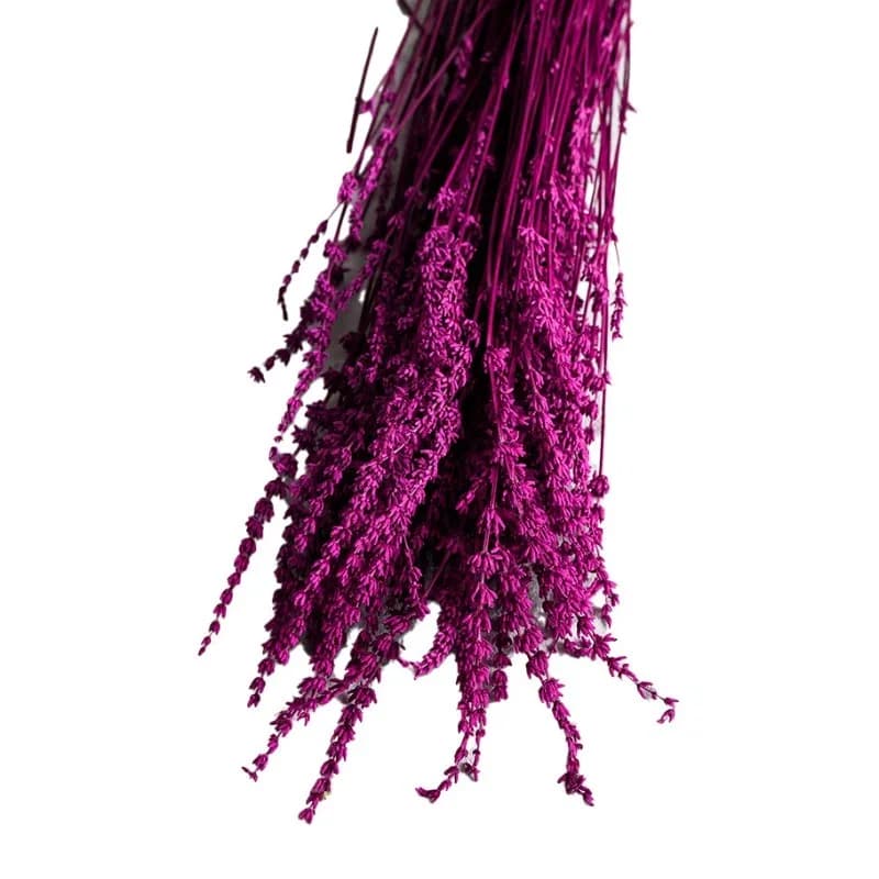 Fleurs de lavande préservées et bougies parfumées aux fleurs séchées, matériaux floraux DIY, décoration intérieure, matériaux pour arrangements de vase
