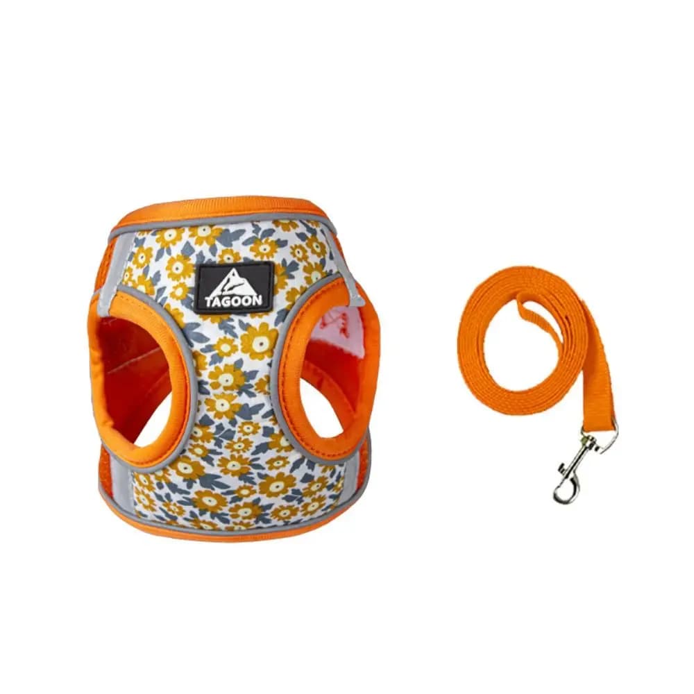 Accessoires pour chats
