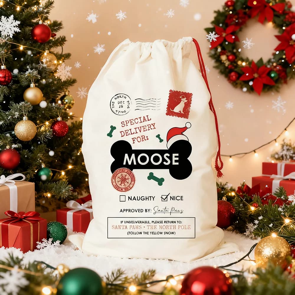 Sac de Noël personnalisé pour chien, livraison spéciale pour le nom du chien, sac cadeau du père noël, patte amusante, cadeau du père noël du nouvel an