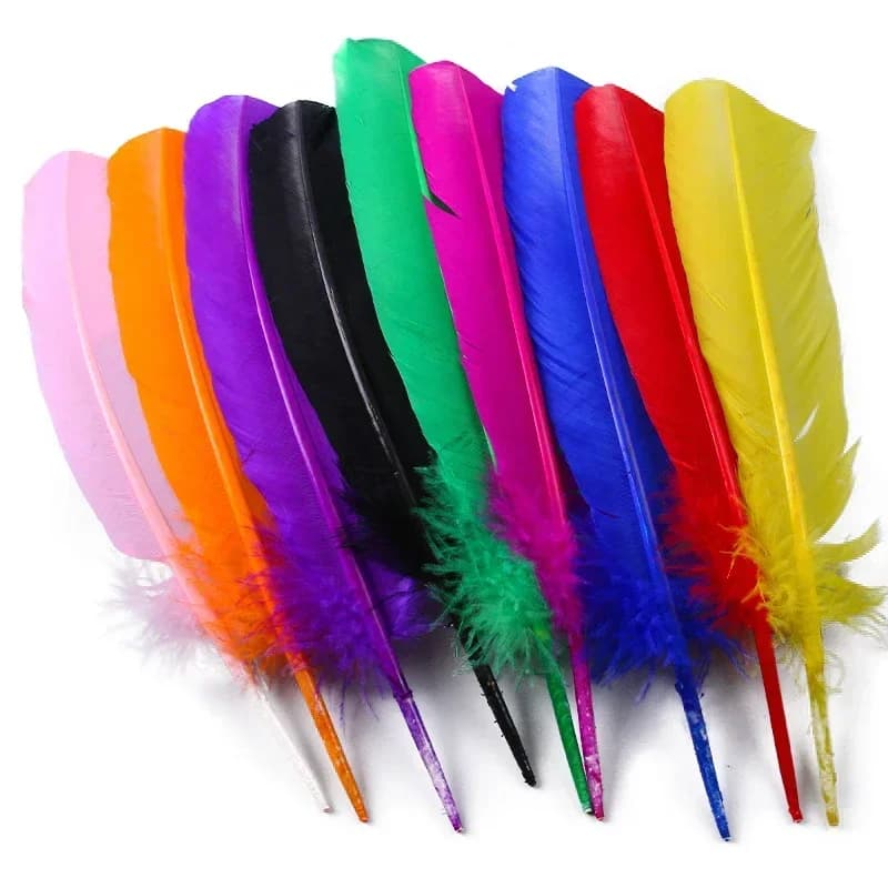 Plumes de dinde, plumes de canard pour l'artisanat, 25-30 cm, ailes d'oie blanches, plumes pour arti