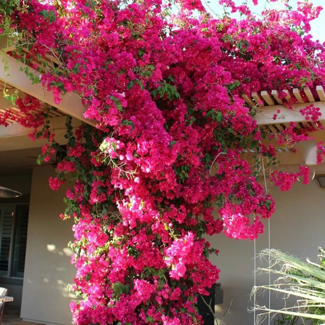 Décor d'arbre de fleur de bougainville artificielle avec 30 Branches + 4 vigne