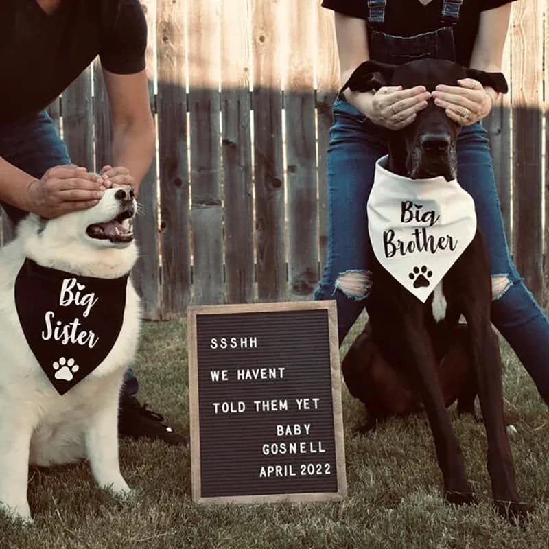 Bandana de grande sœur et frère pour chien