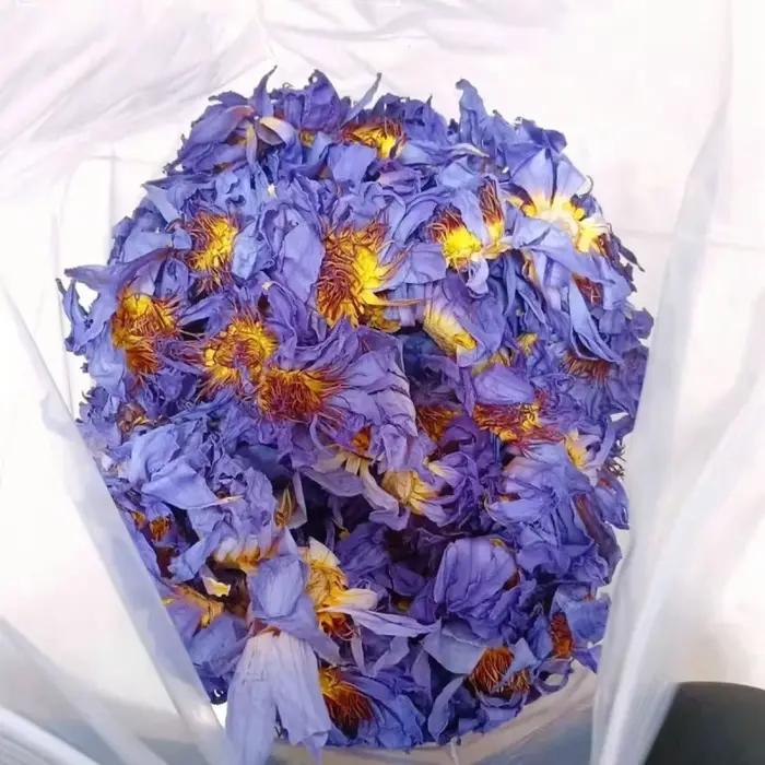 Fleur sèche de fleur de Lotus aromatique de qualité supérieure