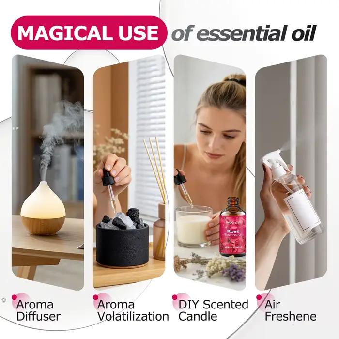 Huile essentielle de rose, huile parfumée aux notes florales élégantes pour diffuseurs, projets de bricolage parfumés et aromathérapie, parfum romantique et délicat.