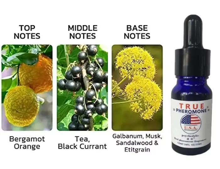 Parfum à l'huile essentielle infusée de phéromones fortes pour hommes et femmes, huile de phéromones stimulante pour le flirt, 10 ml