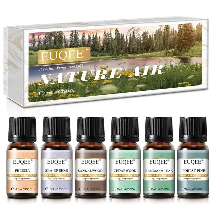 EUQEE 6 pièces ensemble d'huile de parfum d'aromathérapie-10ml huiles de diffuseur de roseau d'arôme
