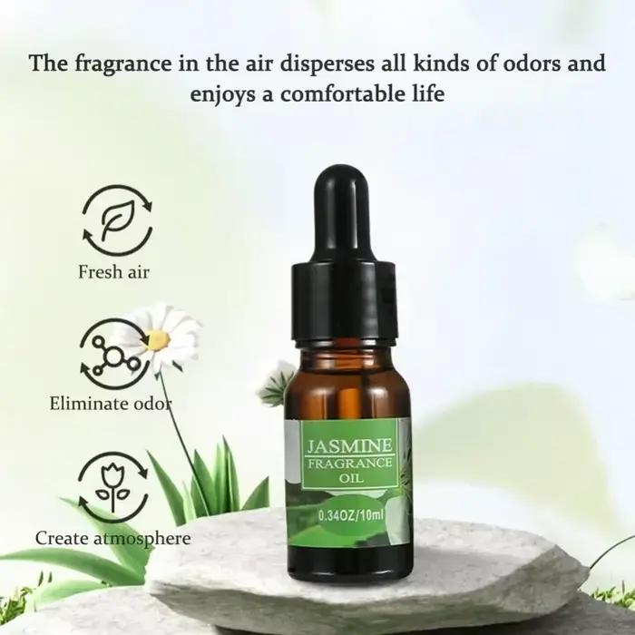 Recharge de parfum pour voiture 10 ml, huile essentielle aromatique avec compte-gouttes, recharge de désodorisant pour voiture, pour humidificateur d'air, parfum pour la maison et la voiture