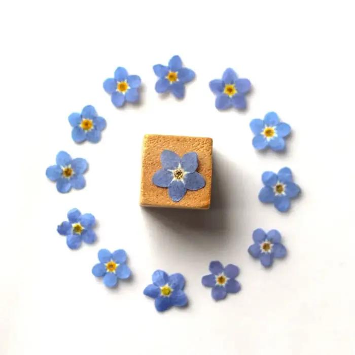 Fleurs Séchées "Ne vous en Souvenez Pas" en Soie Lavande pour Décoration Intérieure et Création Artisanale Occasions Spéciales