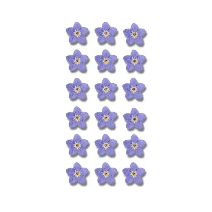 Fleurs séchées naturelles pour nail art et fabrication de bougies, fleurs pressées « Ne vous en souv