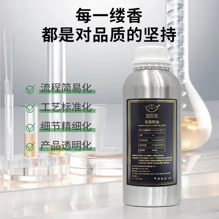 Huile parfumée Hilton Ritz Carlton Hotel, 100ml/1000ml, pour parfums d'intérieur, huiles essentielles SPA pour diffuseur aromatique, parfum DIY
