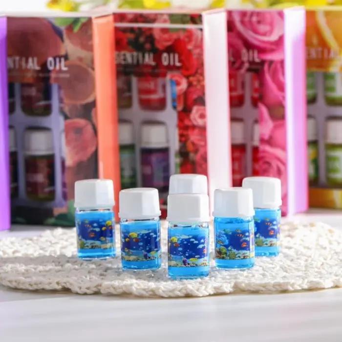 6 pièces/ensemble huiles essentielles boîte-cadeau arôme diffuseur humidificateur d'air soluble dans l'eau désodorisant