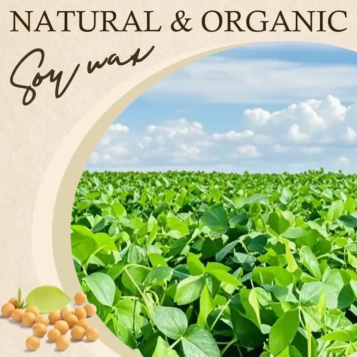 100g-1000g cire de soja naturelle bricolage bougies faites à la main artisanat faisant des fournitures 100% flocons