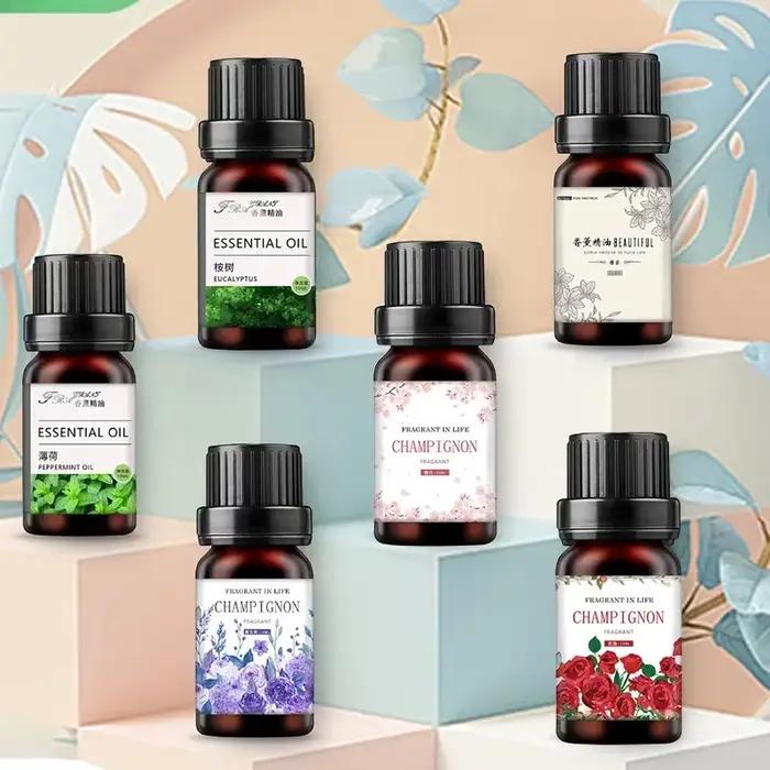 Huiles essentielles aromathérapie végétale 19 saveurs parfum d'ambiance pour purifier et embellir votre maison occasions spéciales