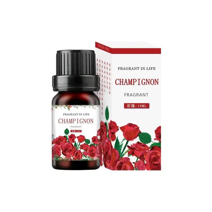 Huiles essentielles aromathérapie végétale 19 saveurs parfum d'ambiance pour purifier et embellir votre maison occasions spéciales